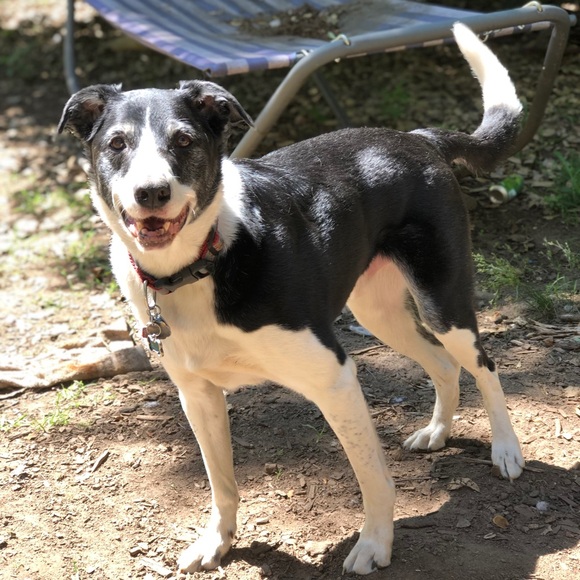 Meet your Posher, Kaeli - Picture 6 of 6